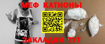 стафф Шелехов