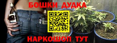 стафф Шелехов